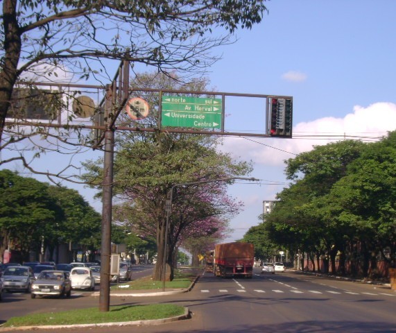 Índices de acidentes, mortes e feridos caem na Avenida Colombo