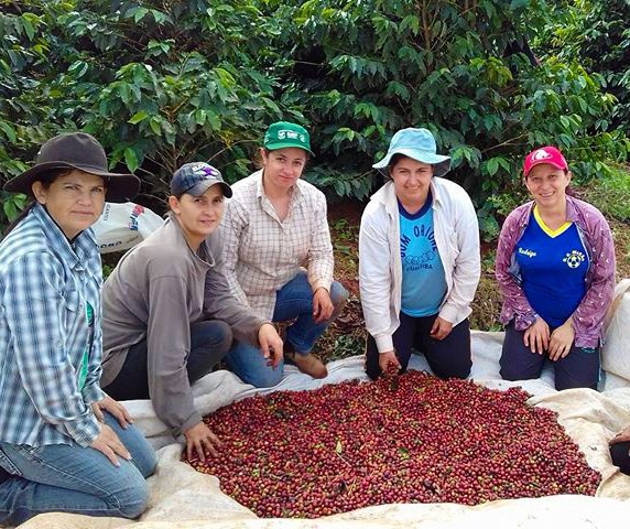 Plano Agro + Mulher incentiva a participação feminina em atividades agropecuárias