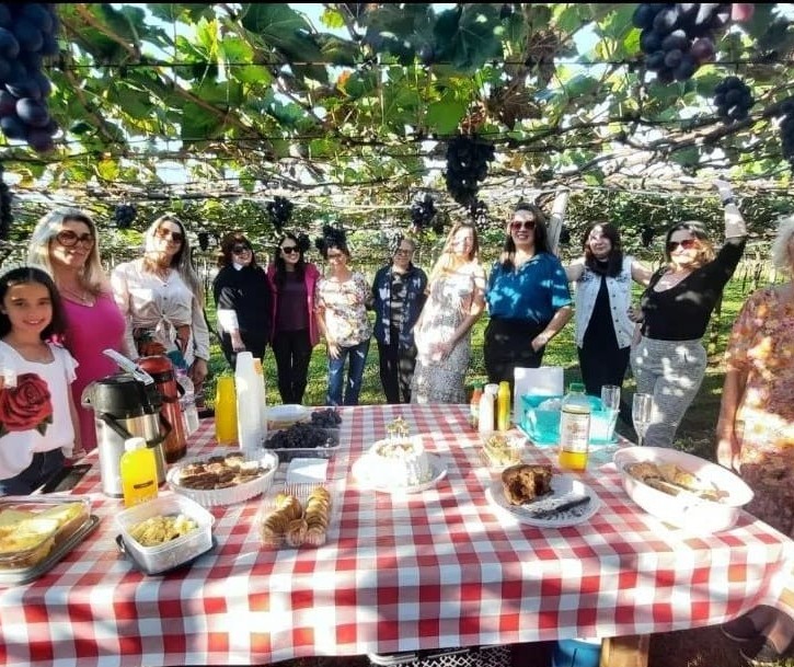 Festa da Uva Fina vai expor colheita variada de Marialva 