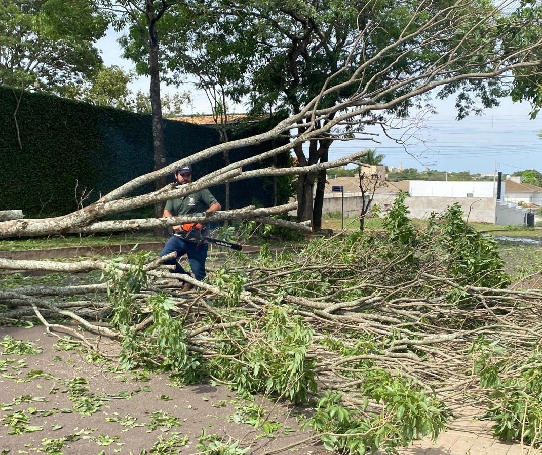 Temporal provoca estragos em Paranavaí nesta terça-feira (17)