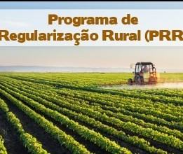 Prazo de adesão ao PRR é prorrogado 