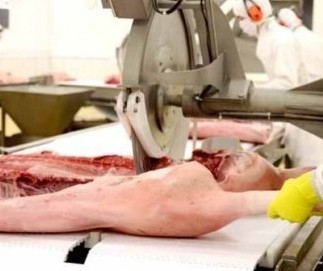 Brasil é o quarto maior produtor e exportador de carne suína do mundo