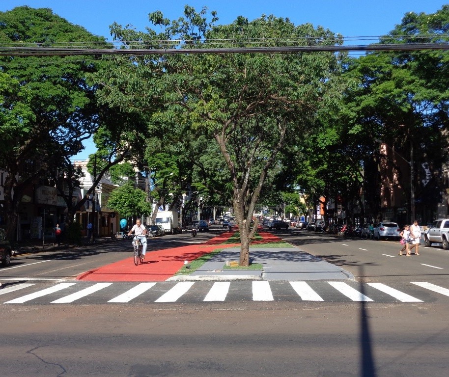 Ciclovia é lugar de bicicleta