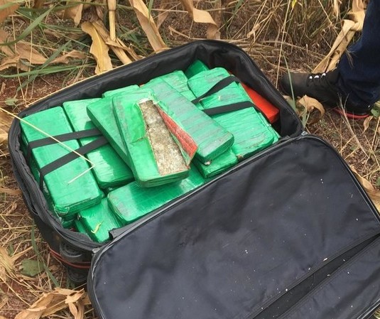 Após denúncia, Denarc apreende 29 kg de maconha em matagal em Maringá