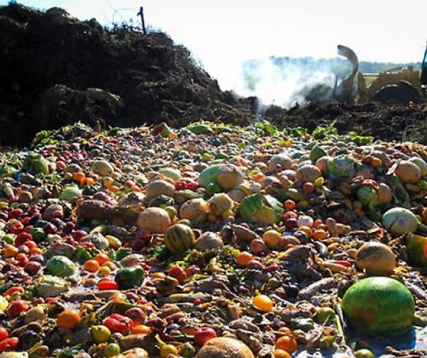 Novo projeto deve reduzir desperdício de alimentos no Paraná