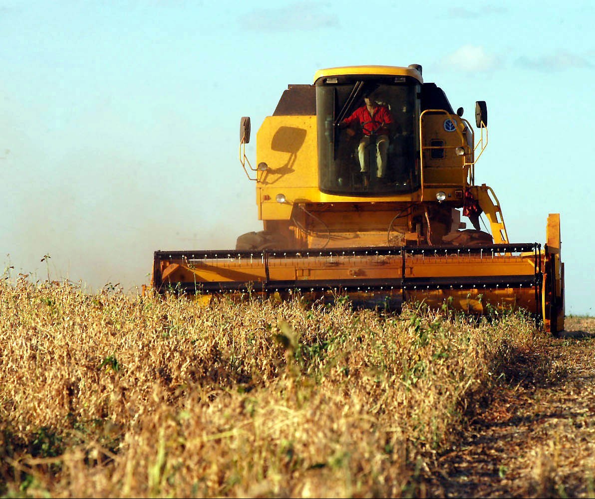 Colheita da soja segue com boa produtividade