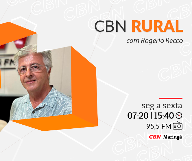 Brasil exporta menos suco de laranja após safra de preços elevados