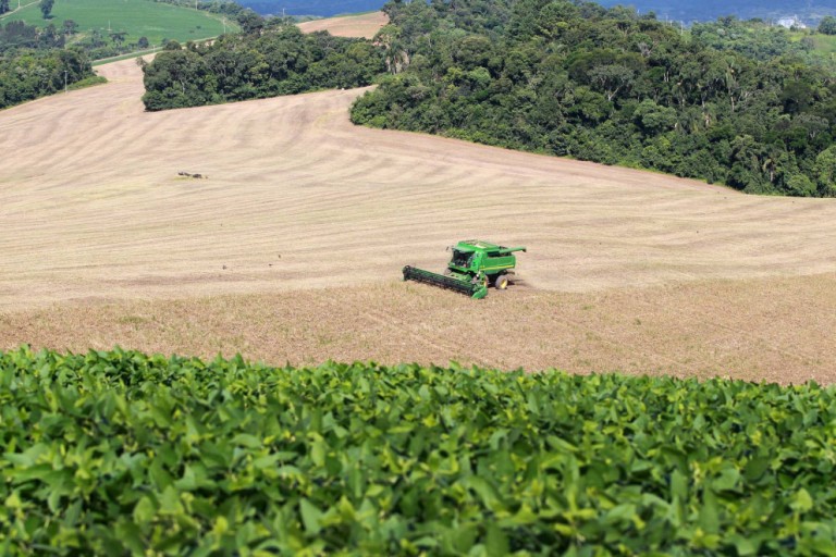 Preço dos produtos agropecuários seguem elevados no 1º trimestre de 2021