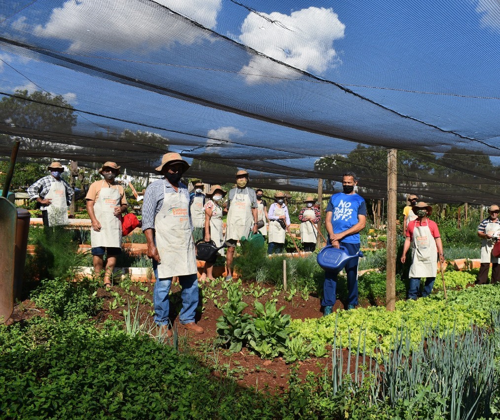 Cultivar Energia evita ocupação irregular debaixo de linhas de distribuição