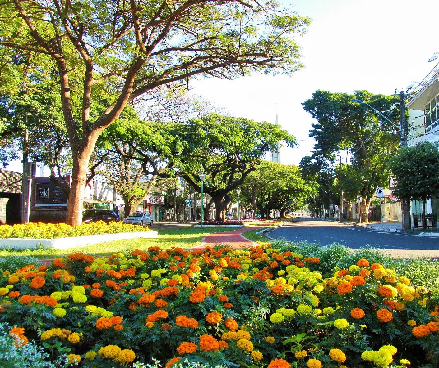 Sexta-feira (14) terá máxima de 29º C em Maringá; calor segue no fim de semana