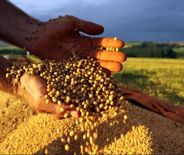 Preços agrícolas se mantêm em alta no estado