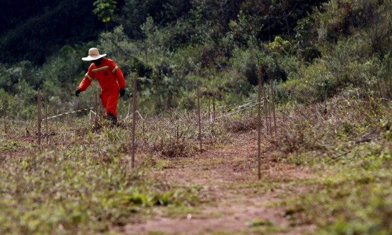 Produtor precisa estar atento aos cuidados com o solo