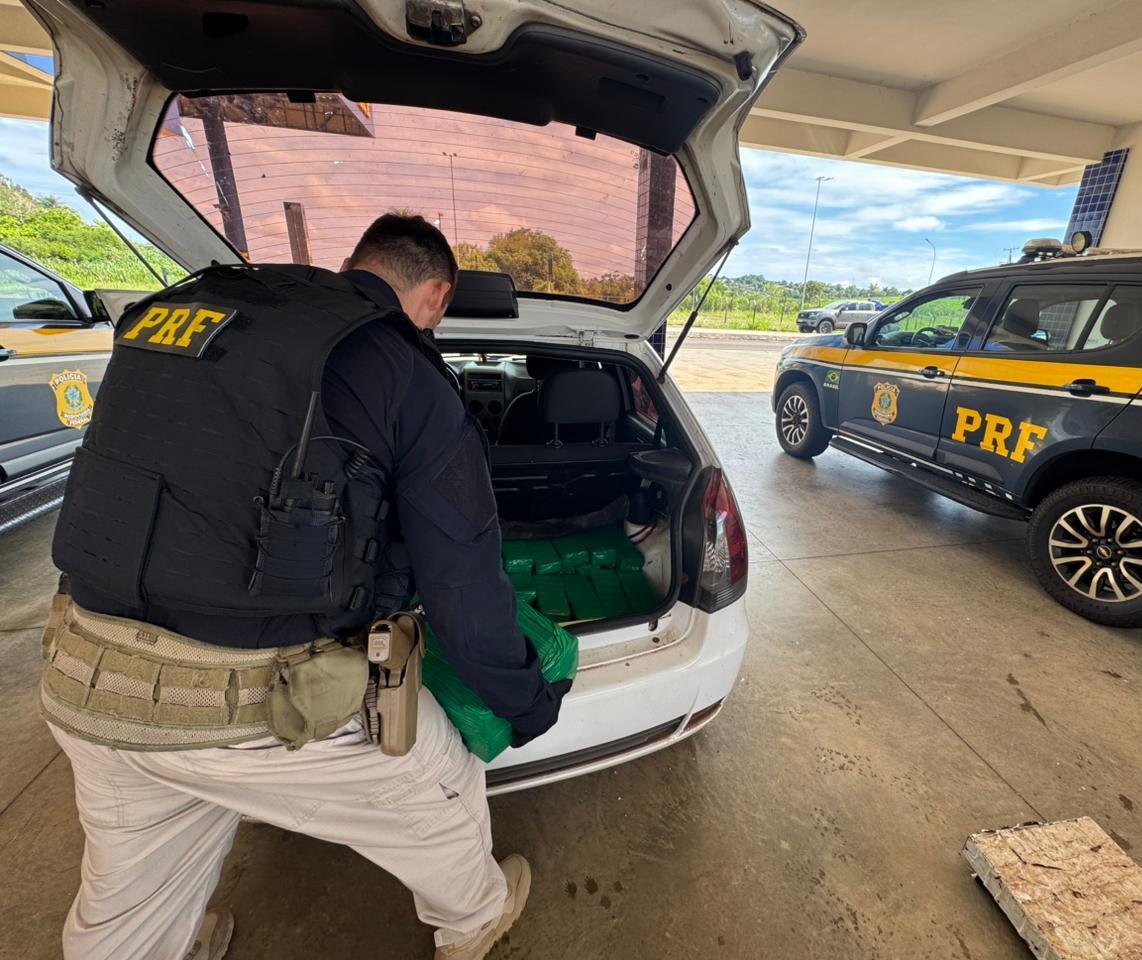 Casal, com criança e cachorro, é preso por tráfico de drogas na BR-487