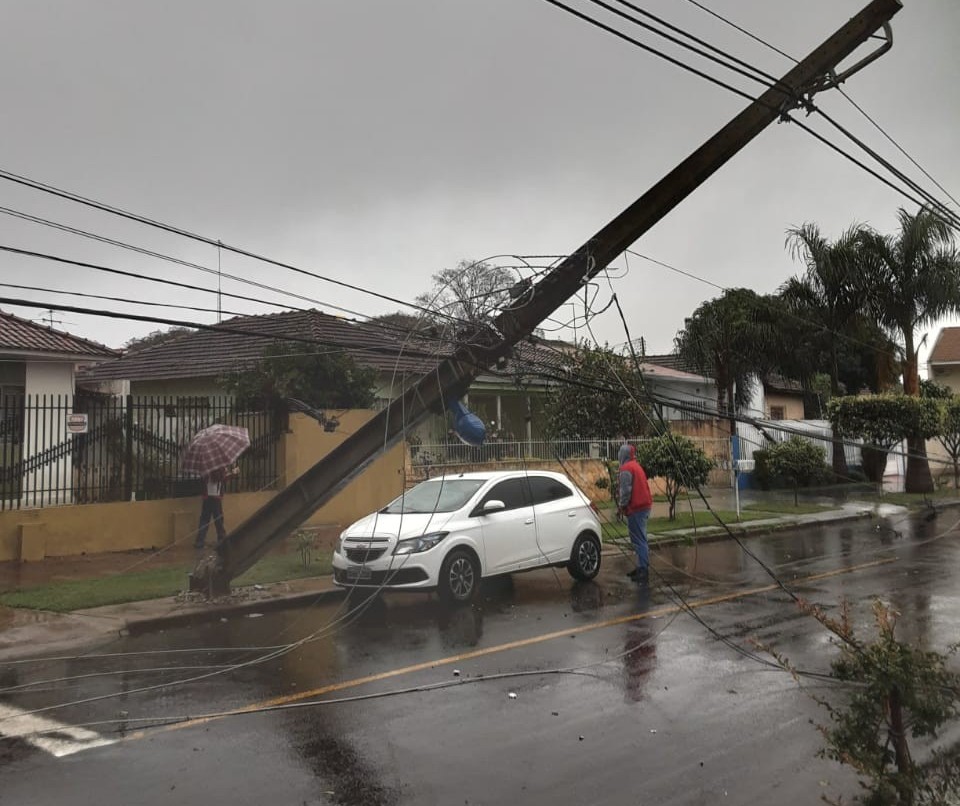 Chuva provoca queda de árvores e postes de energia