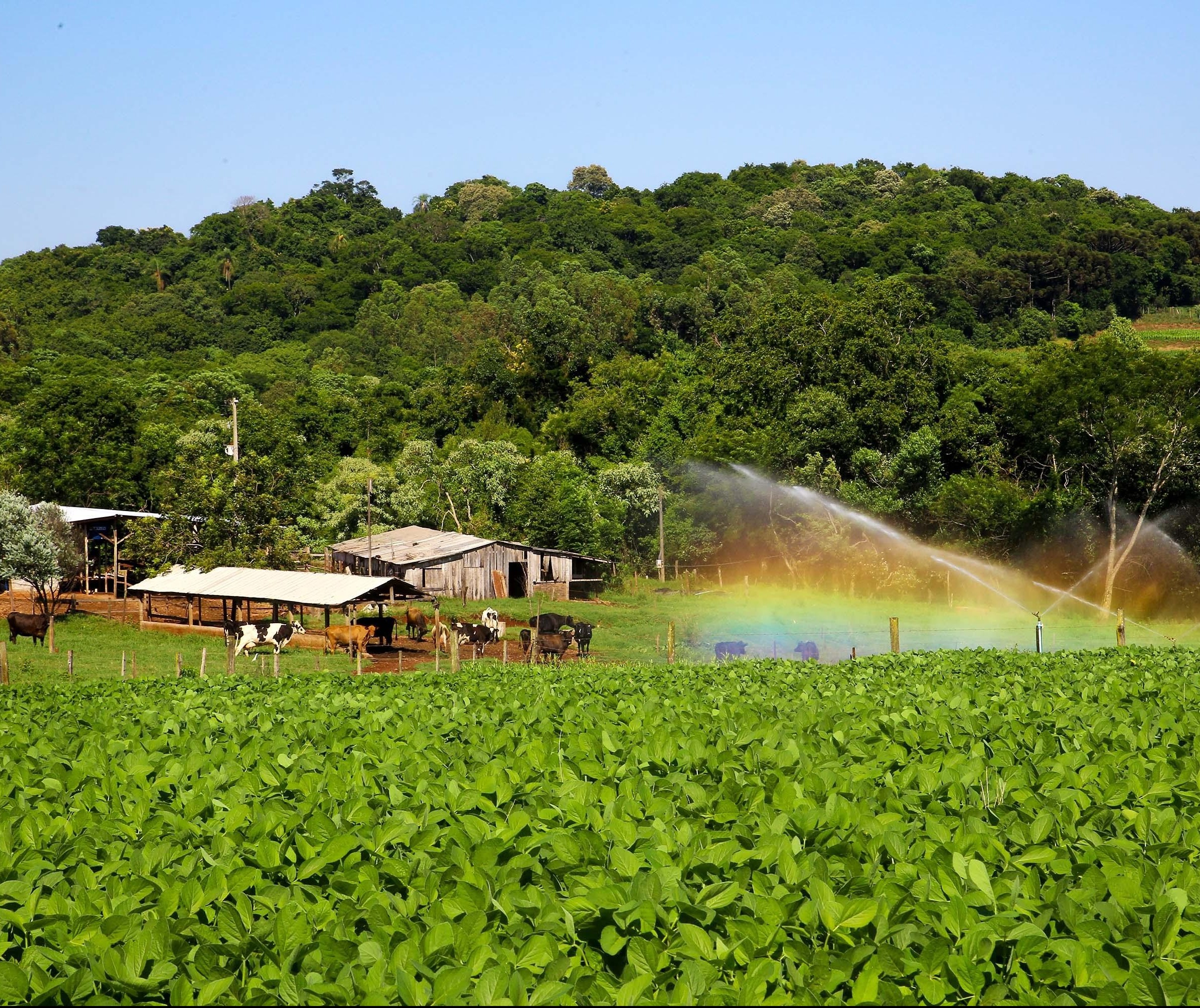 Contratos do Plano Agrícola e Pecuário sobem 32%