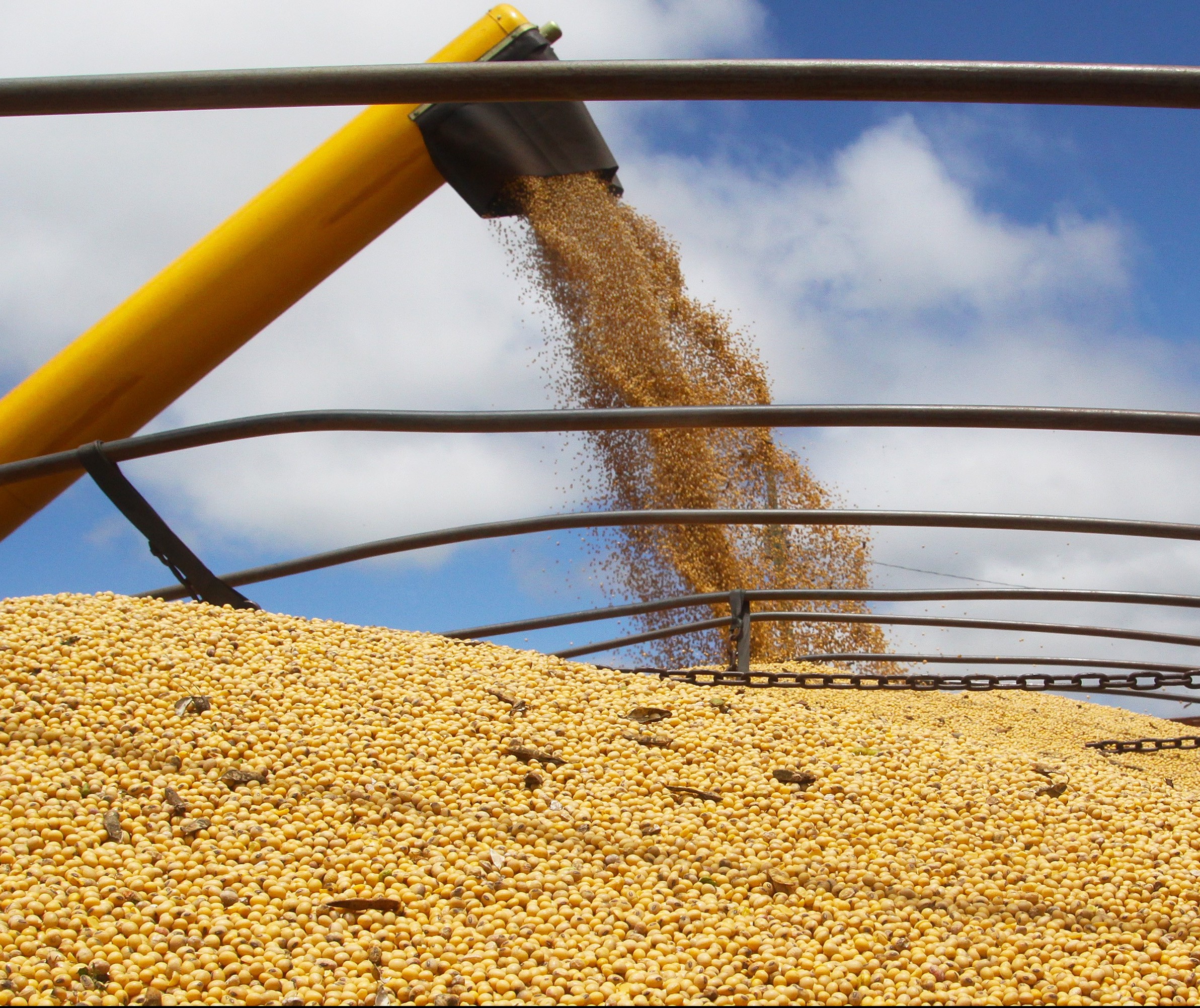 Preços agrícolas seguem em alta no Paraná