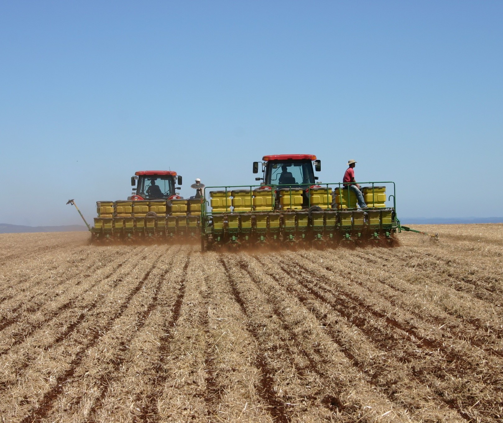 Produção de cereais em 2019 deve chegar a 228,8 milhões de toneladas