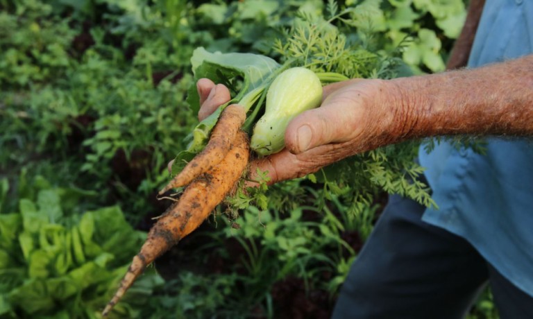 Procura por seguro rural tem aumentado no Brasil