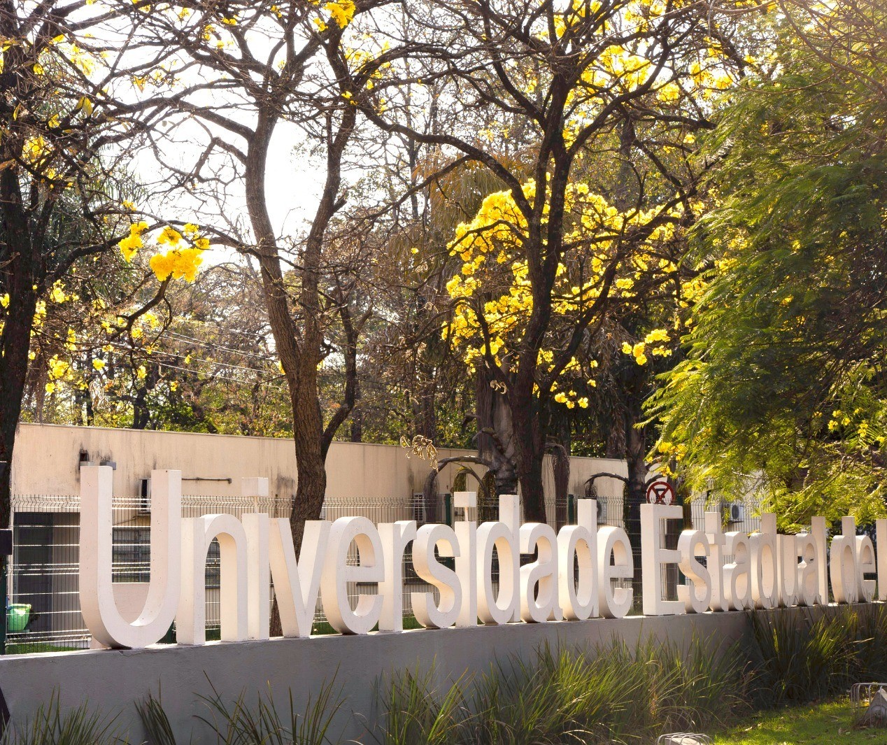 1º colocado no Vestibular da UEM dedicou tempo também à saúde mental