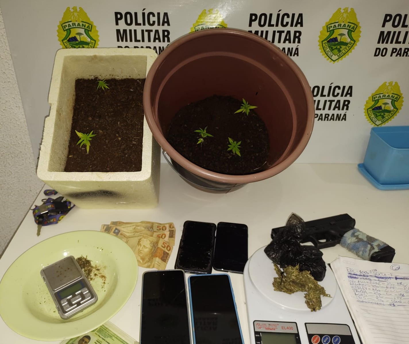 Três homens são presos em Maringá com drogas, dinheiro e mudas de maconha