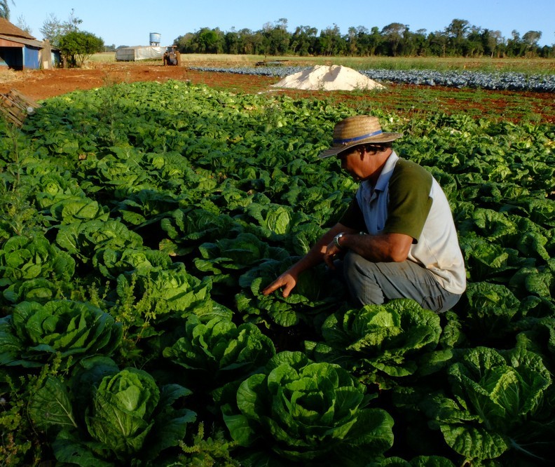 15,8% dos produtores rurais estavam inadimplentes em março