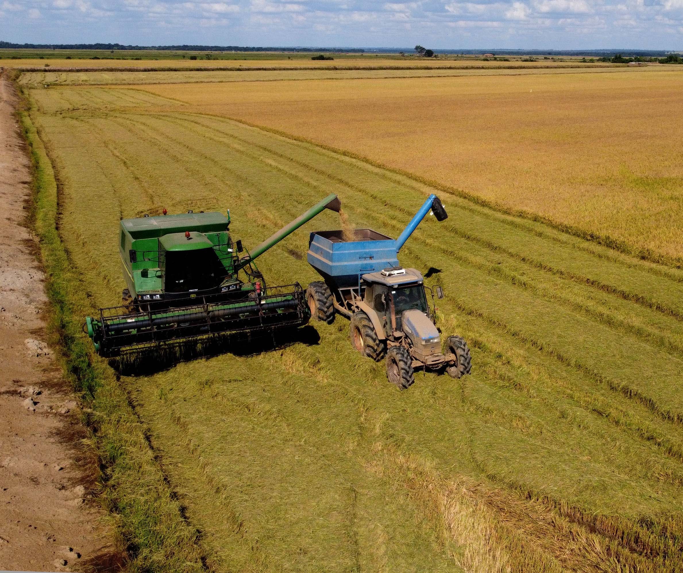 Produtores rurais estão cada vez mais conscientes sobre a preservação de suas fazendas