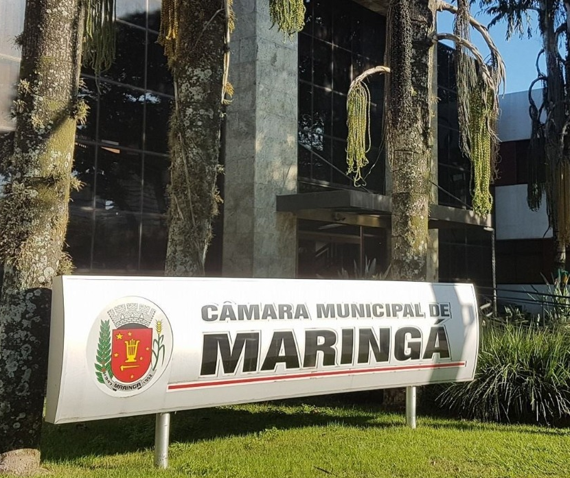 CCJ analisa mais de dez propostas de projetos de lei por semana