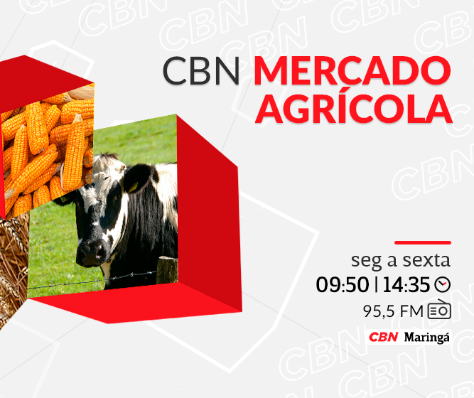 Trigo custa na média R$ 80,09 a saca de 60 kg