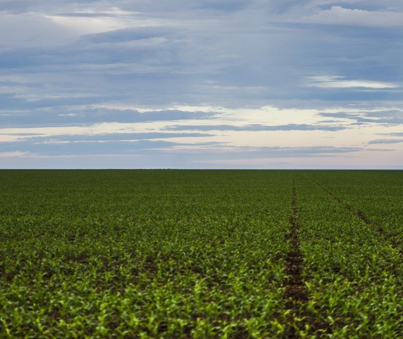 Volumes de fertilizantes importados pelo Brasil em junho quebra recorde 