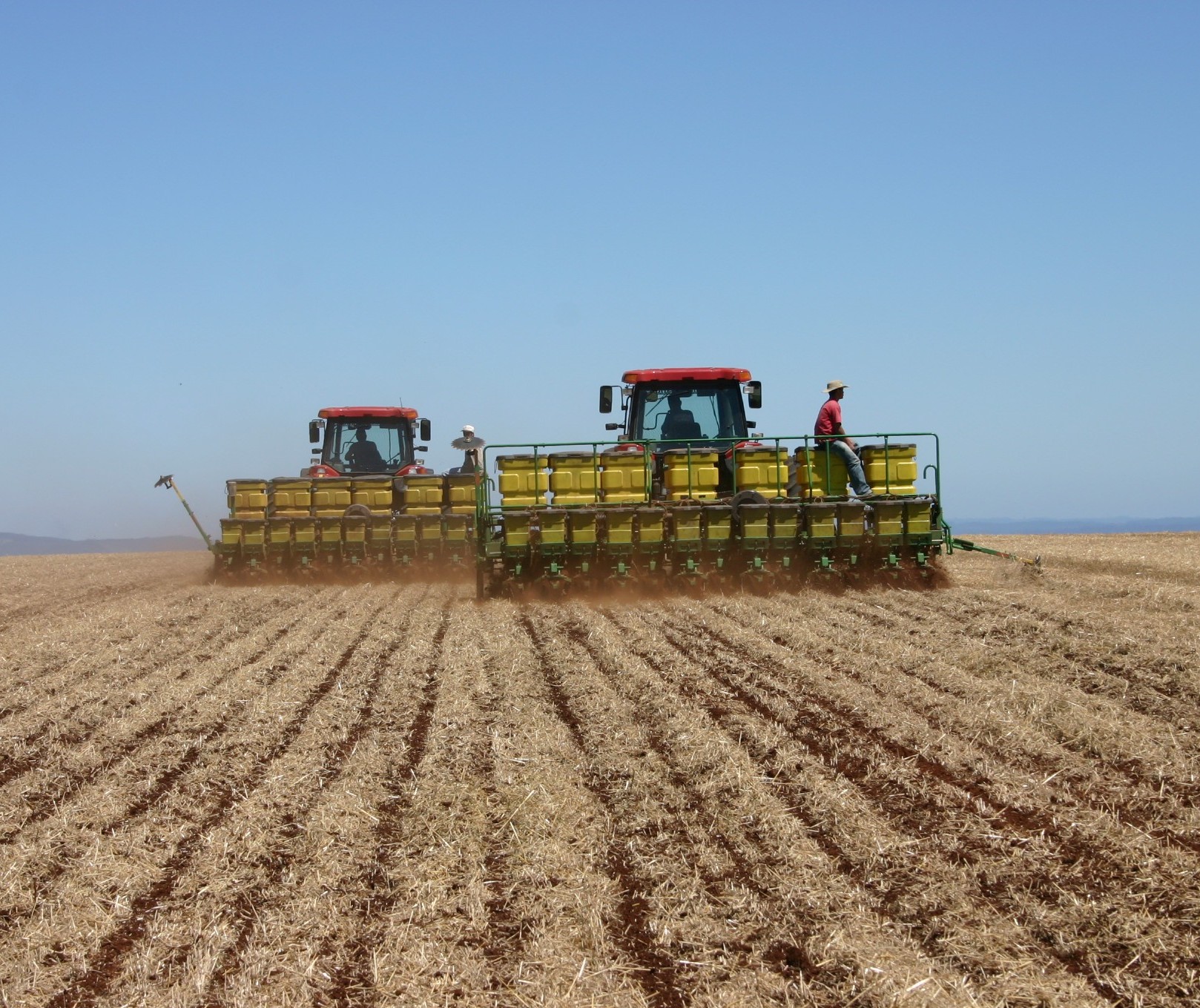 Preços agrícolas variam na região de Maringá