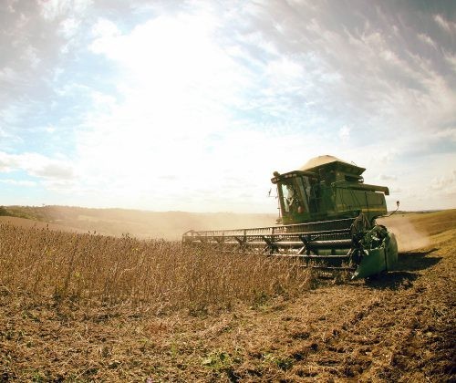 Ministério da Agricultura divulga Plano Agrícola e Pecuário 2019/20