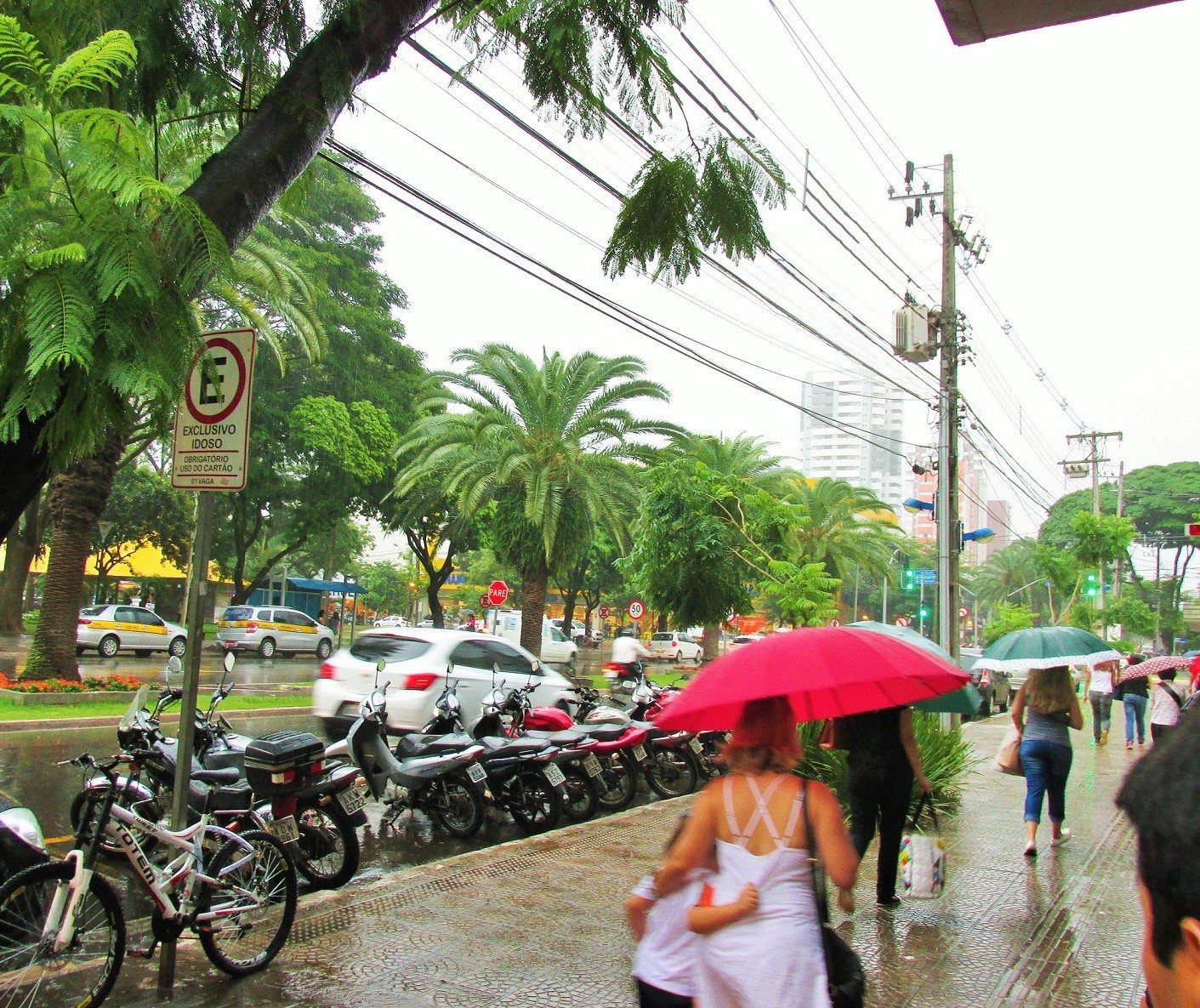 Início de ano será de calor e risco de tempestade, diz Simepar