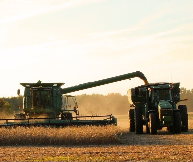 Produtores colhem soja e plantam milho