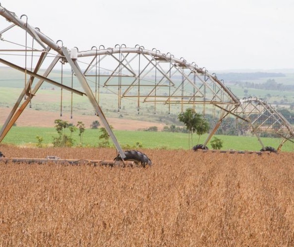 Mercado de fertilizantes apresenta tendência de alta