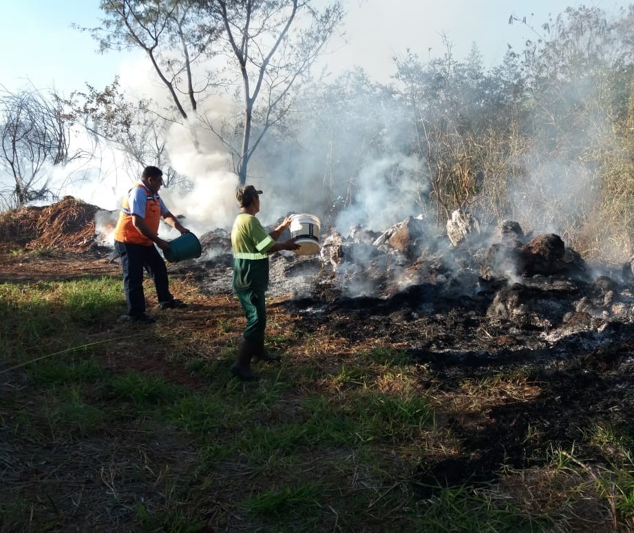 Incêndio em fundo de vale ocupa Corpo de Bombeiros por quatro horas