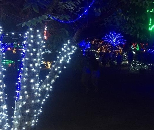 Aberta licitação para decoração natalina no Parque do Japão