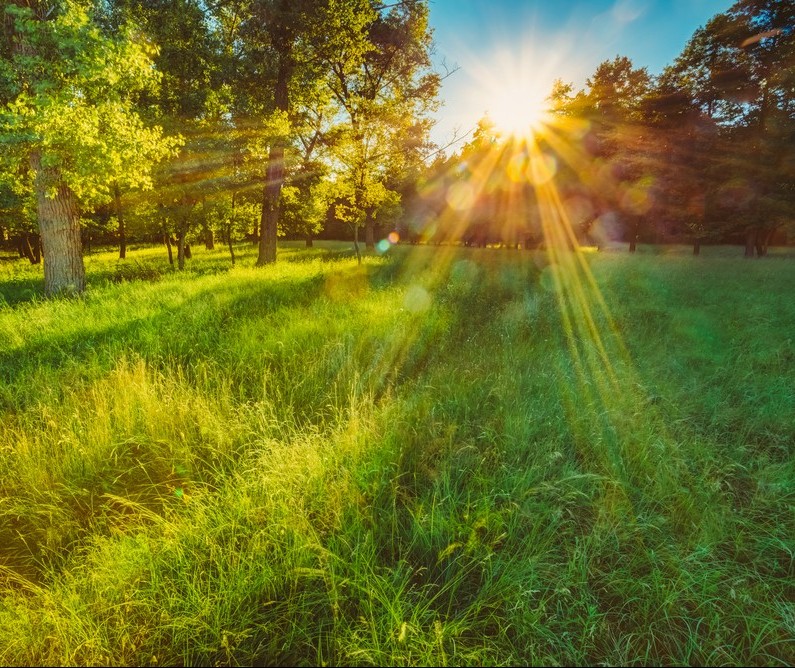 O enfoque espiritual da sustentabilidade