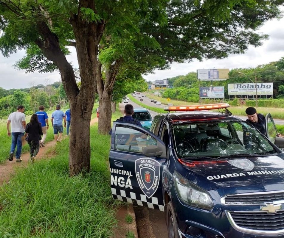 Homem é preso em flagrante por maus-tratos a animais em Maringá