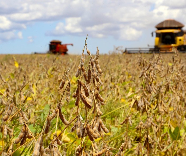 Conab aponta recorde na produção de grãos com 253,7 milhões de toneladas