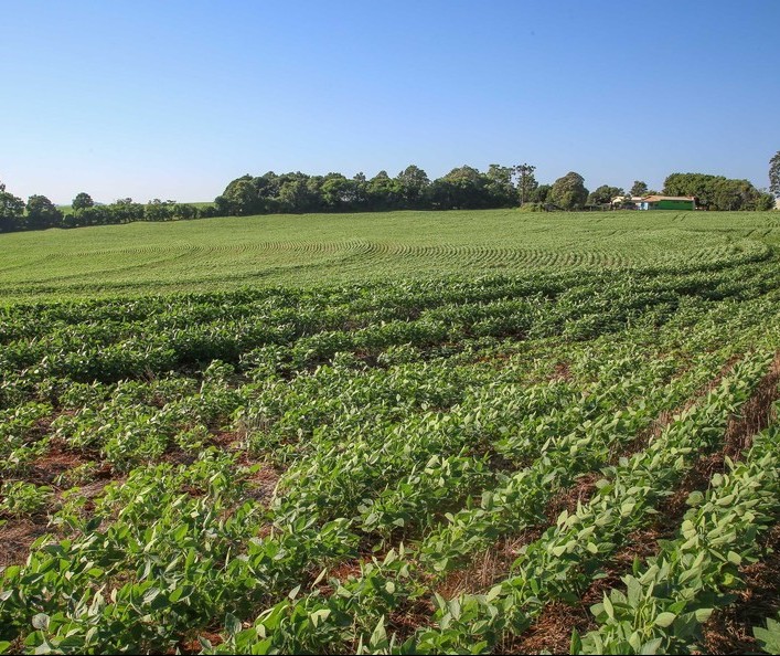 CMN define regras para contratação de seguro rural