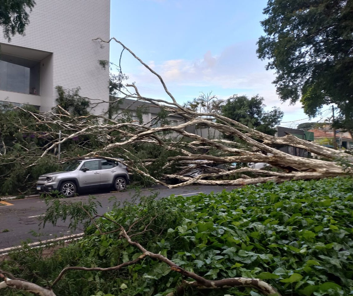 Em torno de 1 mil imóveis continuam sem energia em Maringá, diz Copel