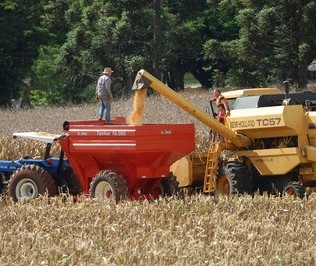 Programa possibilita produtores renegociarem dívidas com o Funrural 