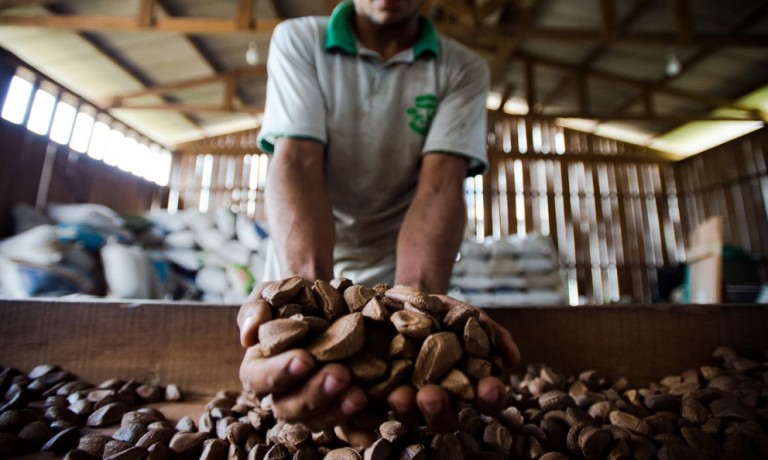 Cooperativas paranaenses receberam R$ 192 mi em financiamentos do BRDE em 2020