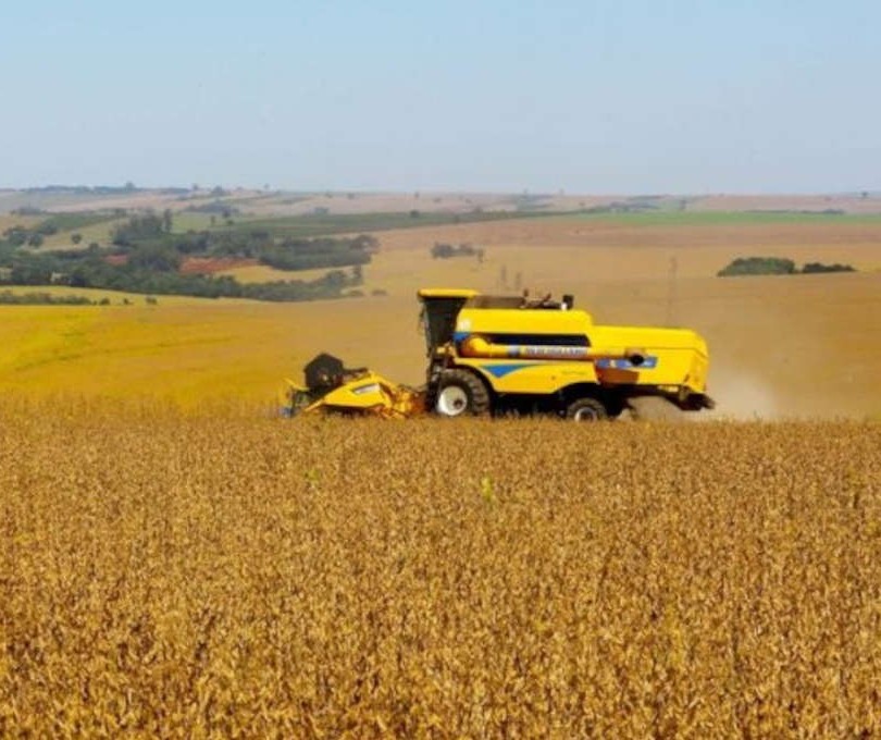 Agricultura estima VBP da Agropecuária em R$ 1,1 trilhão