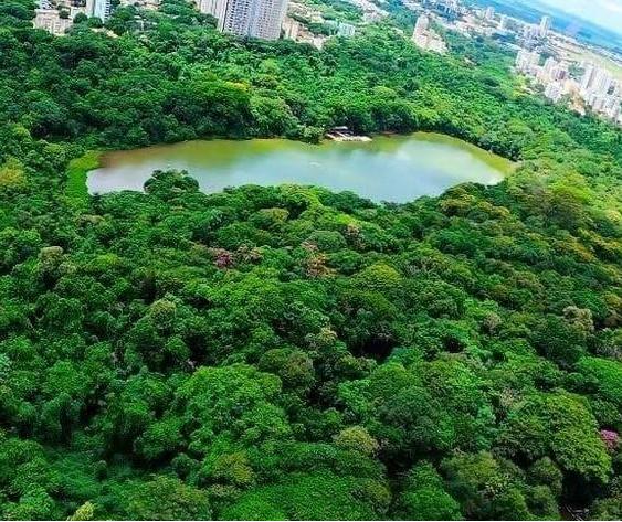 Observatório Ambiental será lançado na quarta-feira (4), na Acim