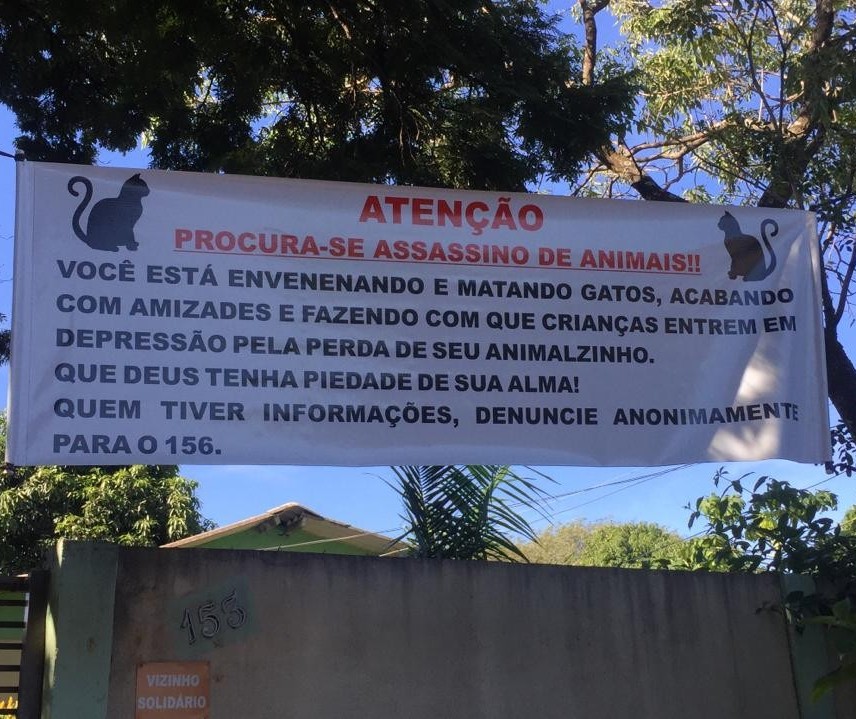 Moradores dizem que gatos estão sendo envenenados