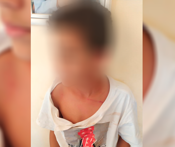 Palmeirense que agrediu criança de 11 anos após brincadeira divulga pedido de desculpas