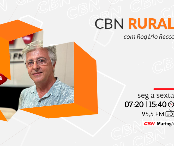 Cientista da UEM fala sobre os 40 anos do Nupelia 