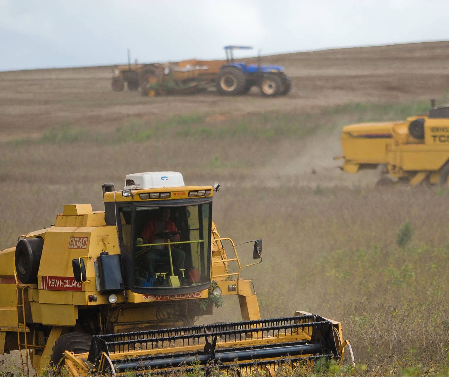 Seca pode afetar produção rural neste inverno