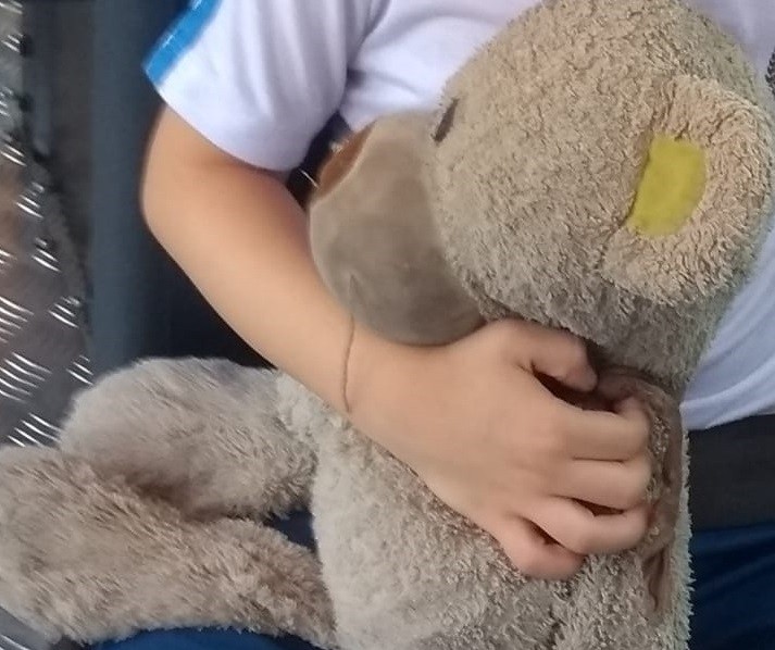 Comunidade de Maringá se mobiliza para encontrar urso de criança com autismo